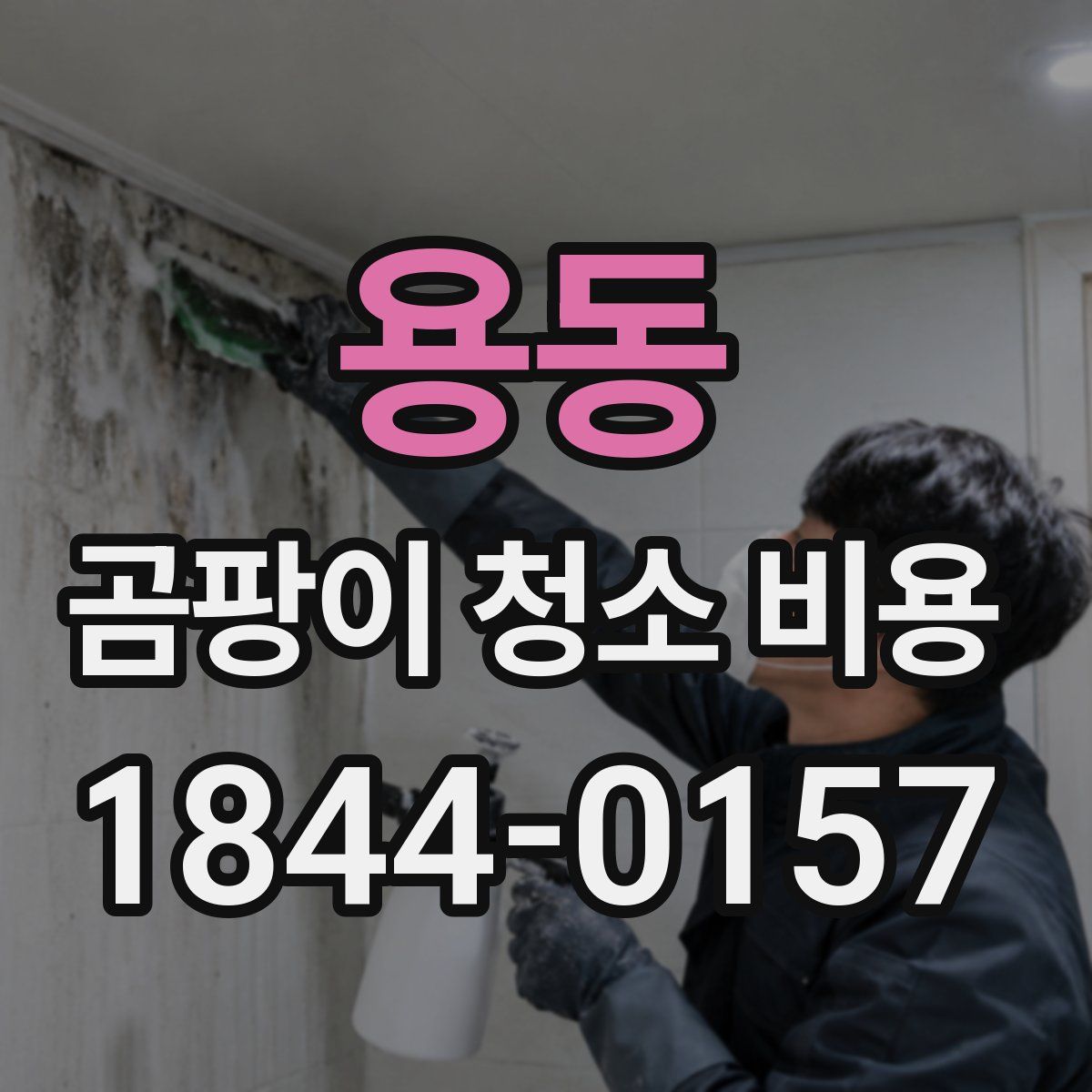 용동 곰팡이 청소 비용