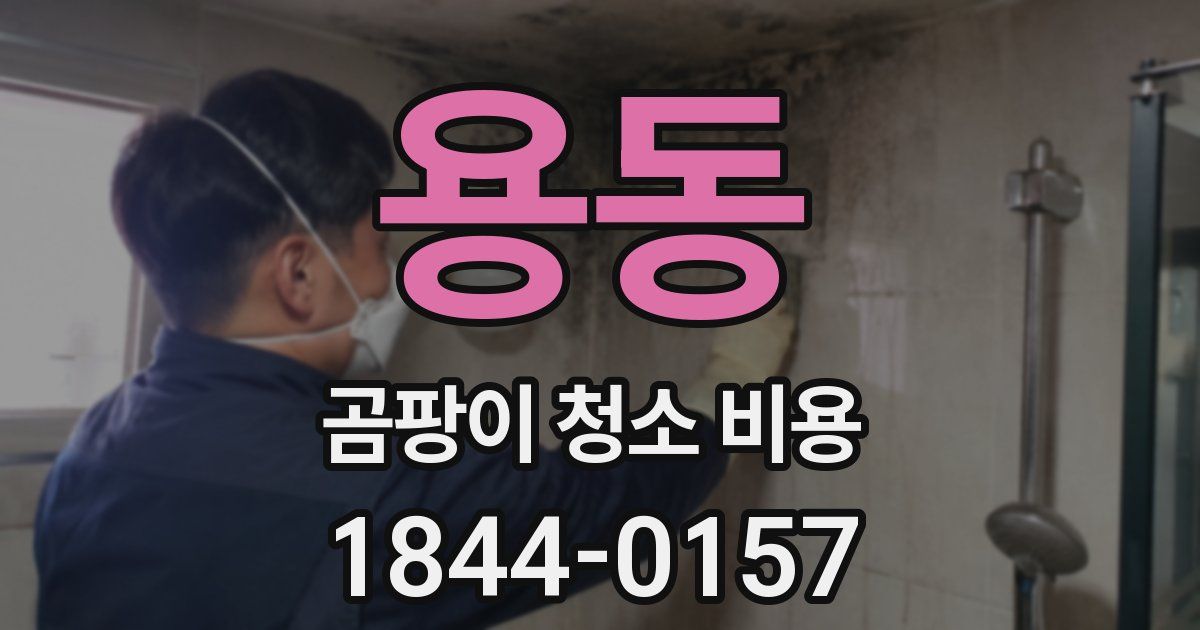 용동 곰팡이 청소 비용