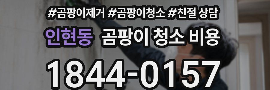인현동 곰팡이 청소 비용