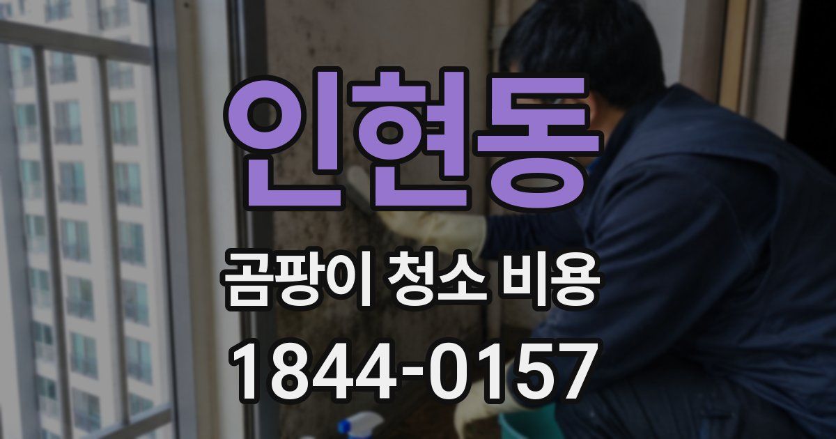 인현동 곰팡이 청소 비용