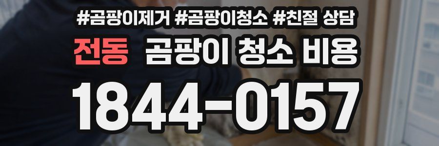 전동 곰팡이 청소 비용