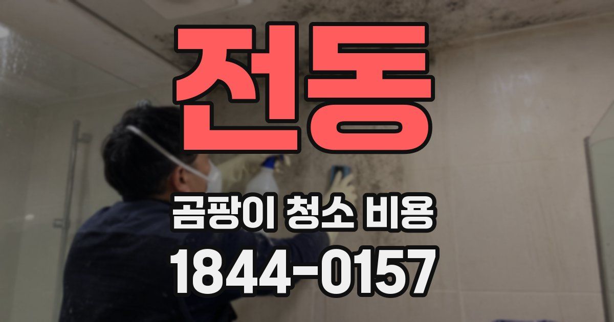 전동 곰팡이 청소 비용