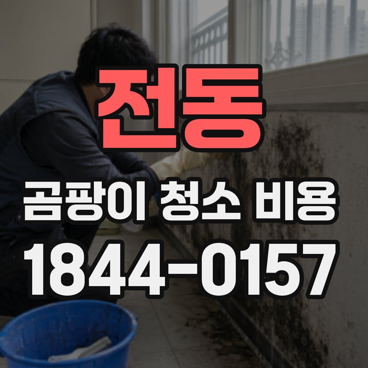 전동 곰팡이 청소 비용