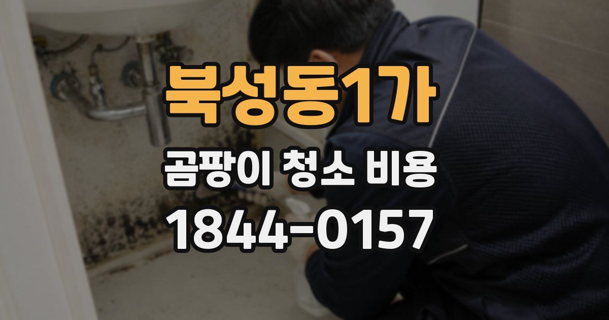 북성동1가 곰팡이 청소 비용