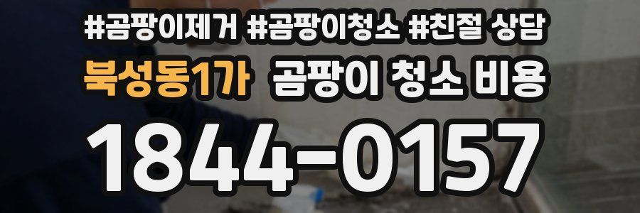 북성동1가 곰팡이 청소 비용