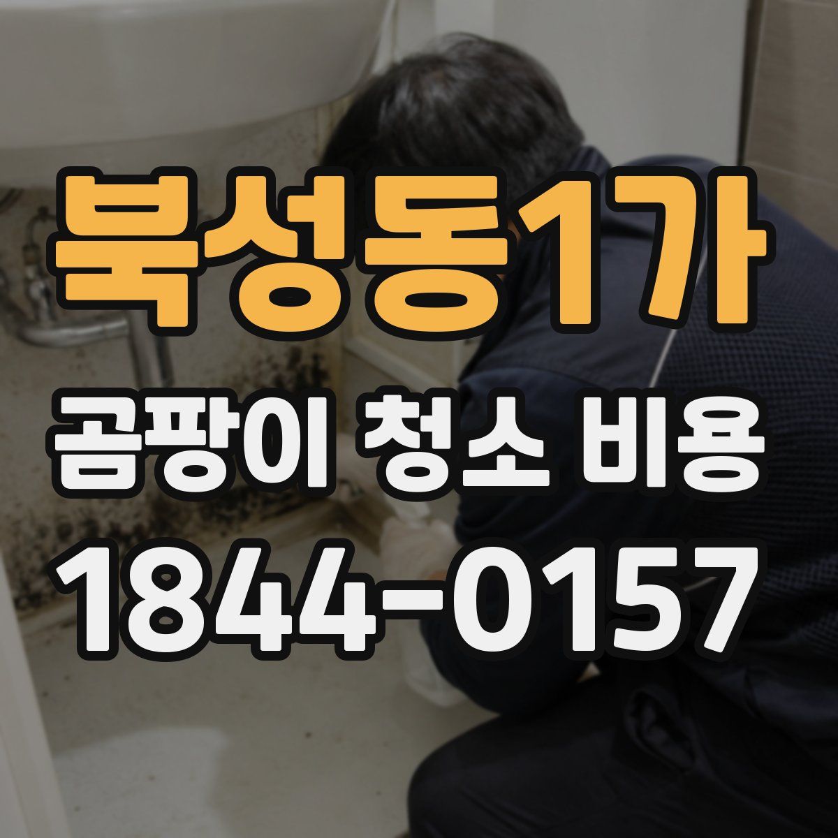 북성동1가 곰팡이 청소 비용