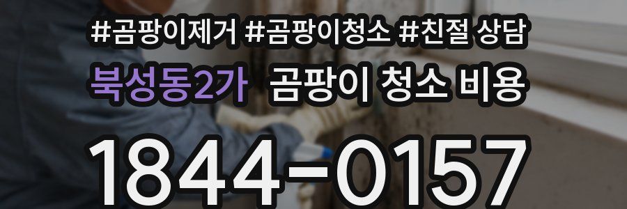 북성동2가 곰팡이 청소 비용