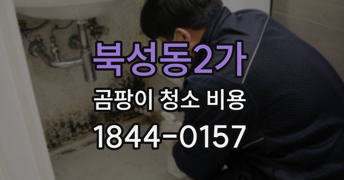 북성동2가 곰팡이 청소 비용