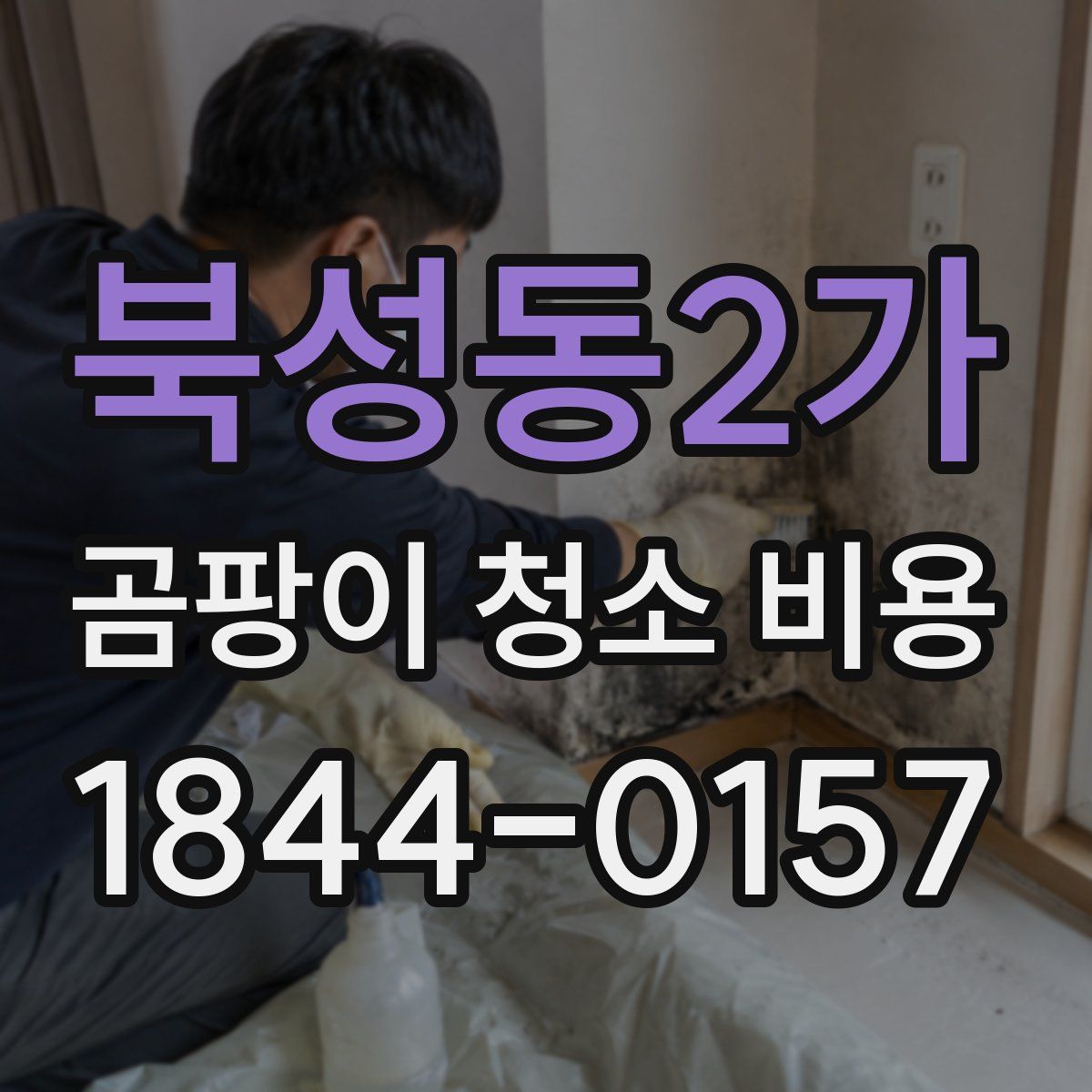 북성동2가 곰팡이 청소 비용