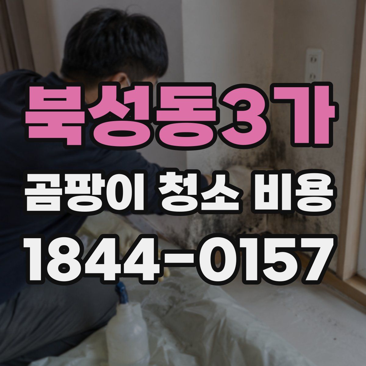 북성동3가 곰팡이 청소 비용