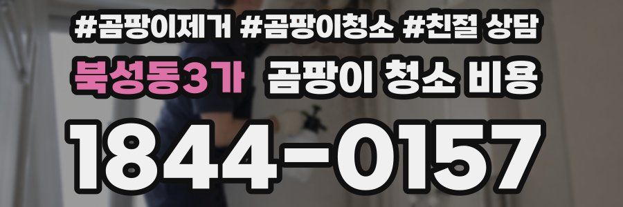 북성동3가 곰팡이 청소 비용