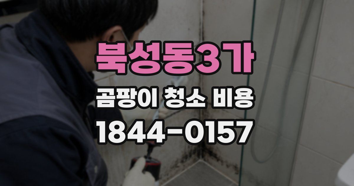 북성동3가 곰팡이 청소 비용