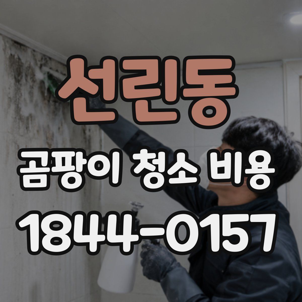 선린동 곰팡이 청소 비용