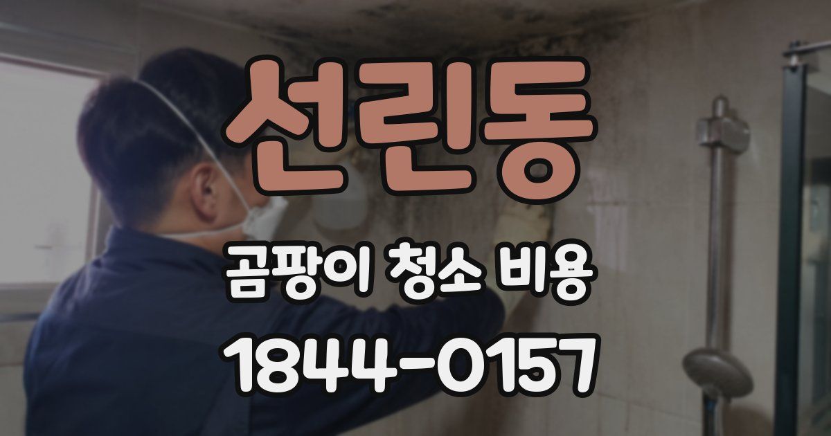 선린동 곰팡이 청소 비용