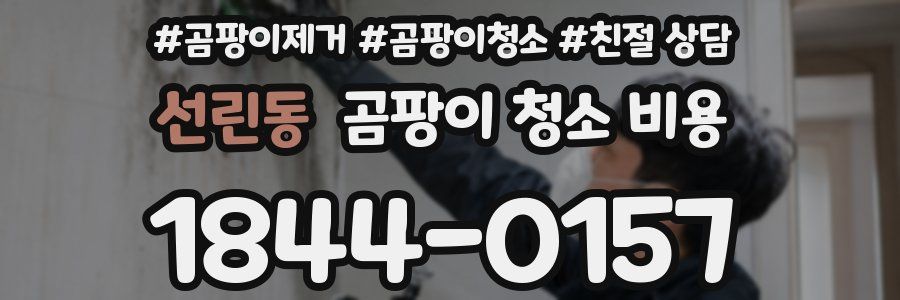 선린동 곰팡이 청소 비용