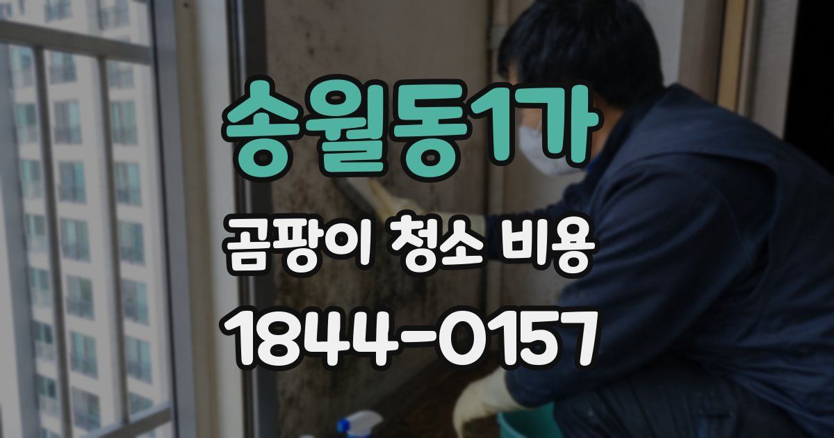 송월동1가 곰팡이 청소 비용