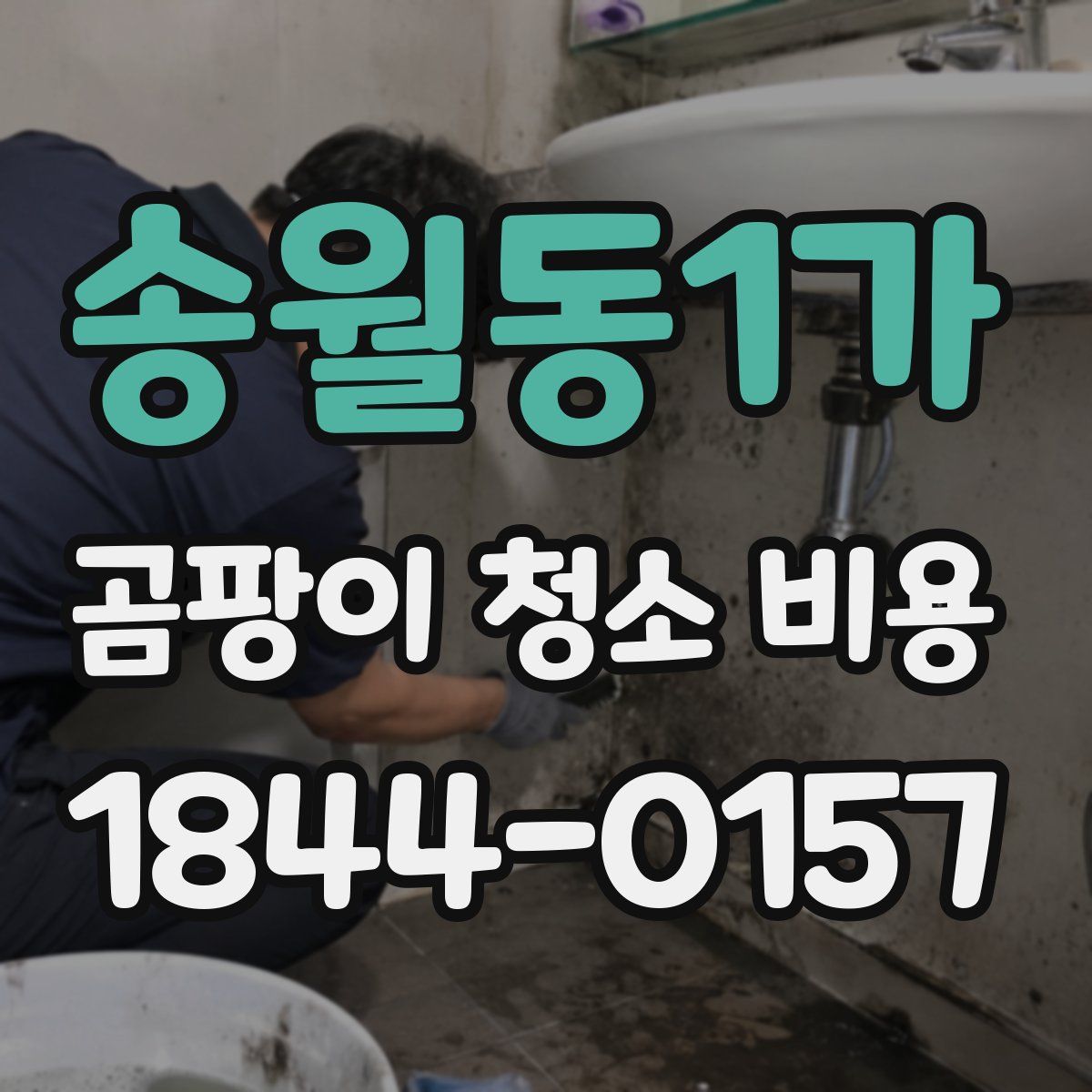 송월동1가 곰팡이 청소 비용