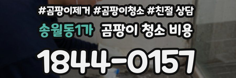 송월동1가 곰팡이 청소 비용