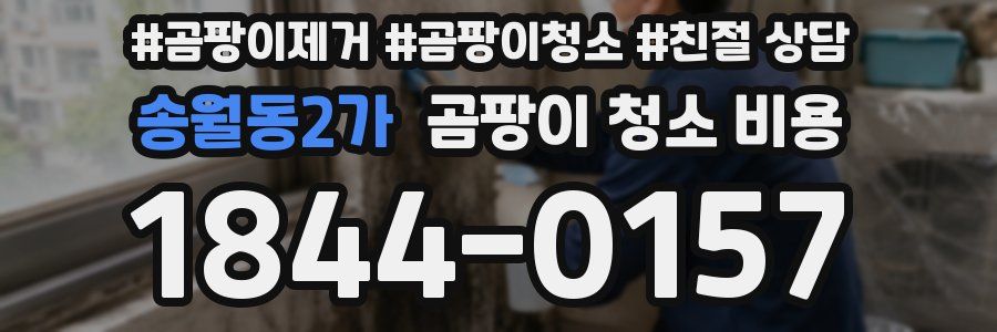 송월동2가 곰팡이 청소 비용