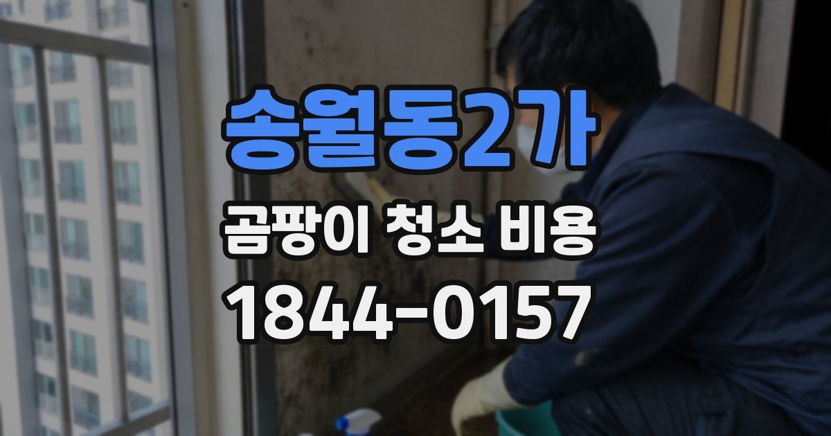 송월동2가 곰팡이 청소 비용