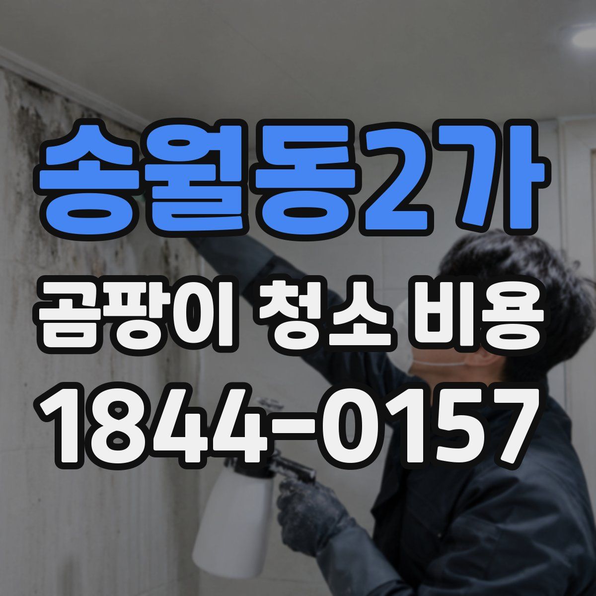 송월동2가 곰팡이 청소 비용