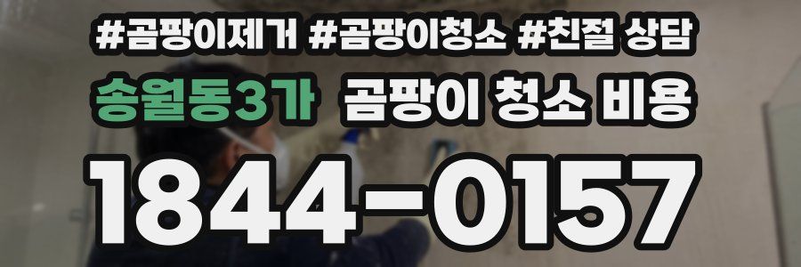 송월동3가 곰팡이 청소 비용