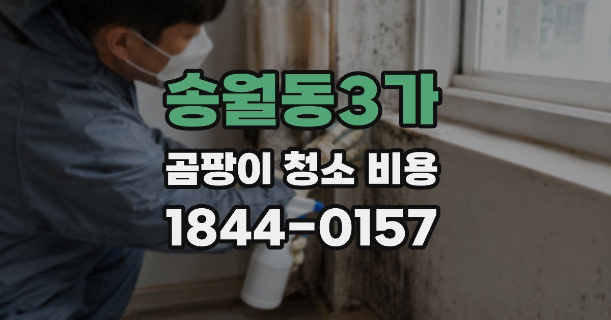 송월동3가 곰팡이 청소 비용