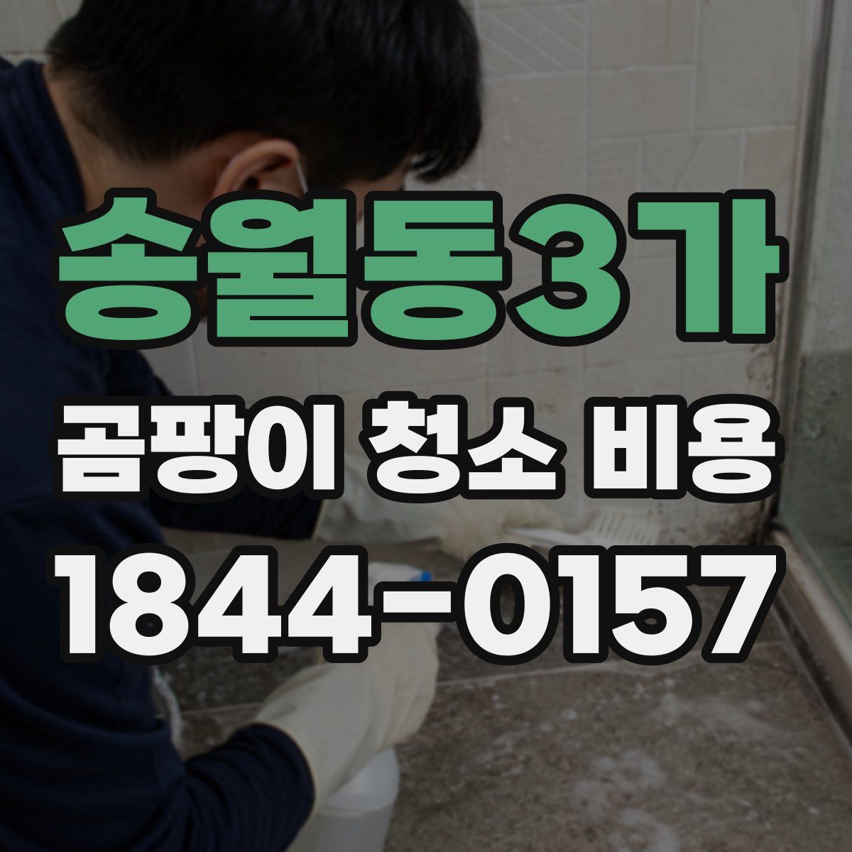 송월동3가 곰팡이 청소 비용