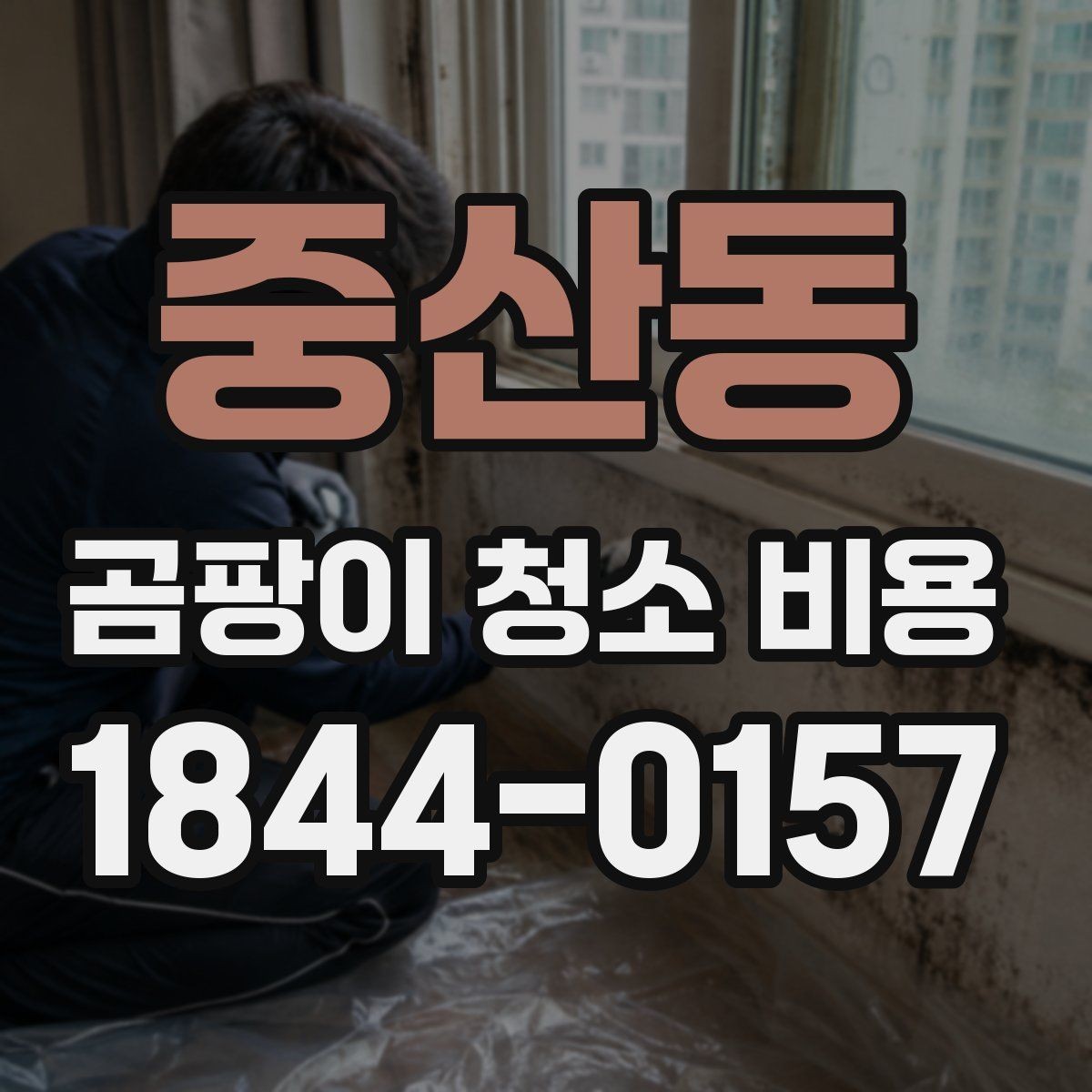 중산동 곰팡이 청소 비용 문의 시 업체별 확인 포인트