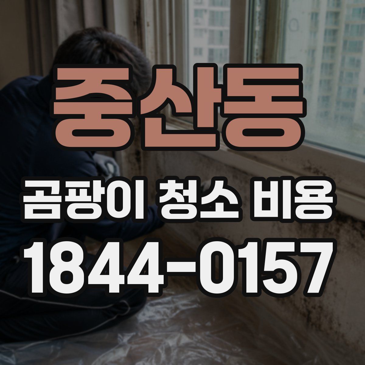 중산동 곰팡이 청소 비용