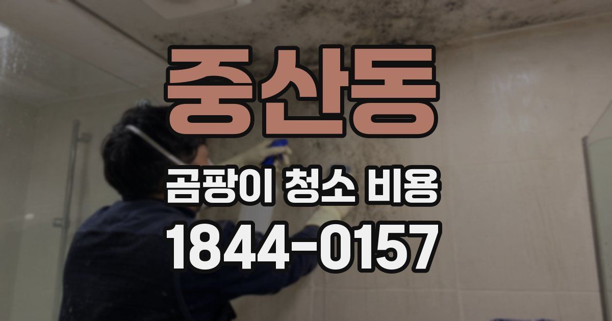 중산동 곰팡이 청소 비용