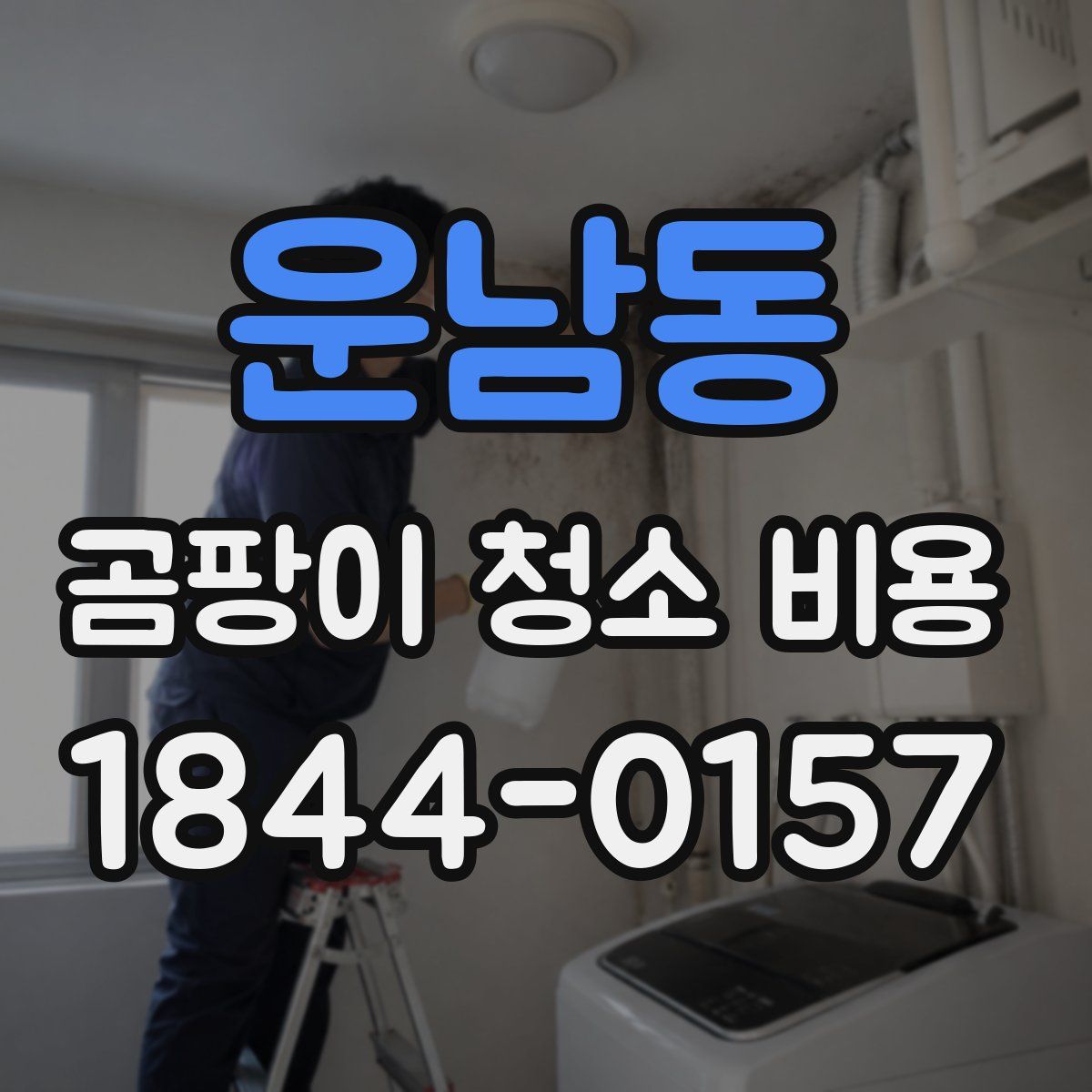 운남동 곰팡이 청소 비용