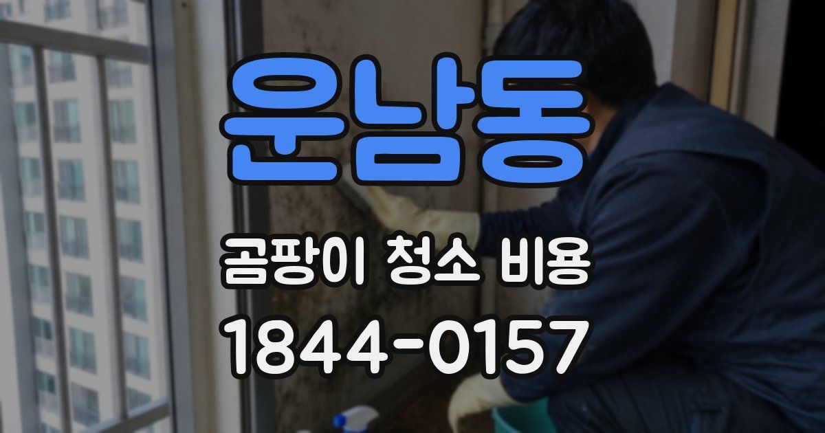 운남동 곰팡이 청소 비용