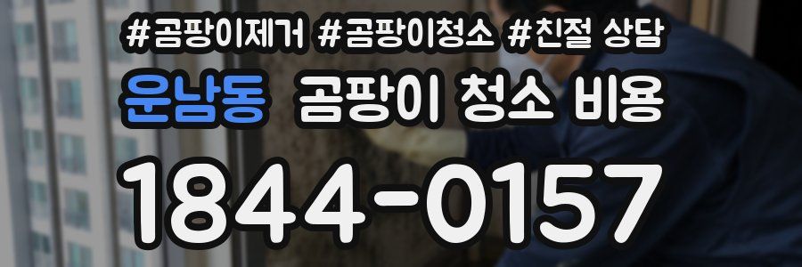 운남동 곰팡이 청소 비용