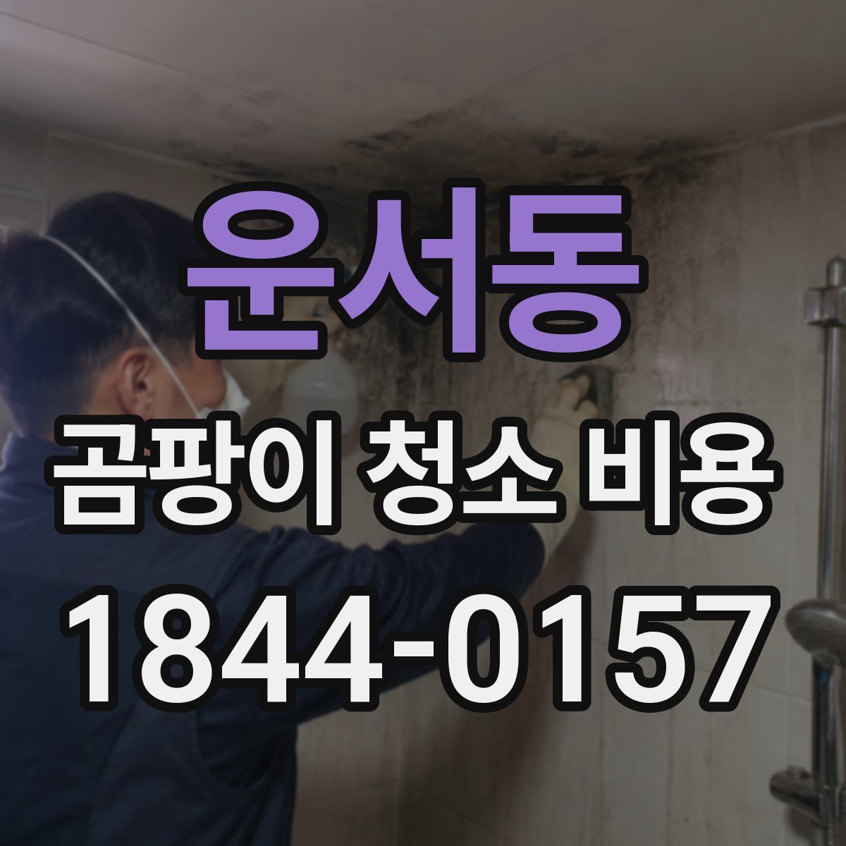 운서동 곰팡이 청소 비용