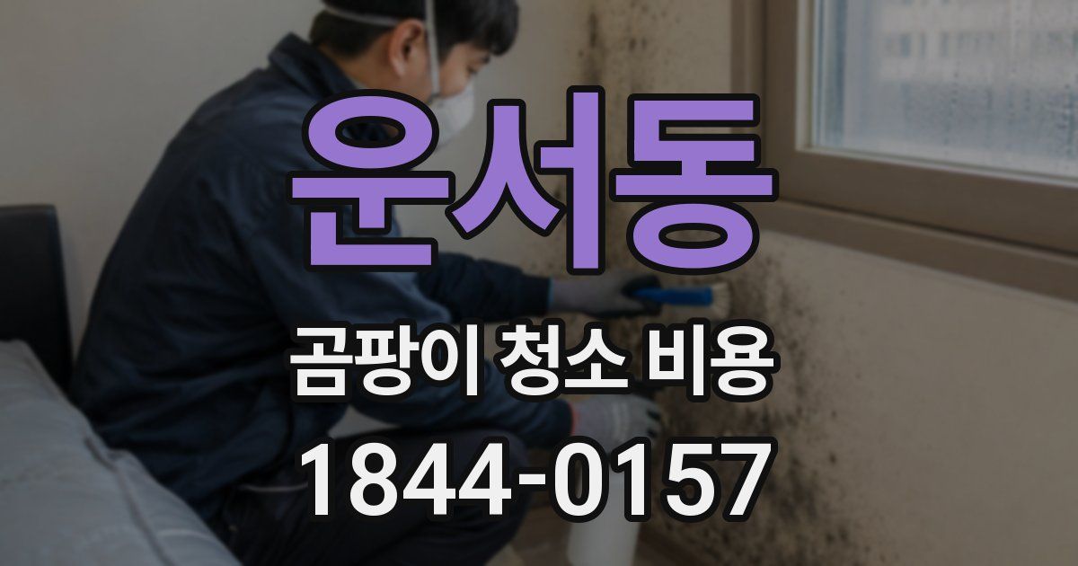 운서동 곰팡이 청소 비용