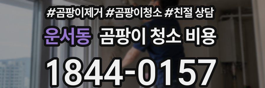운서동 곰팡이 청소 비용