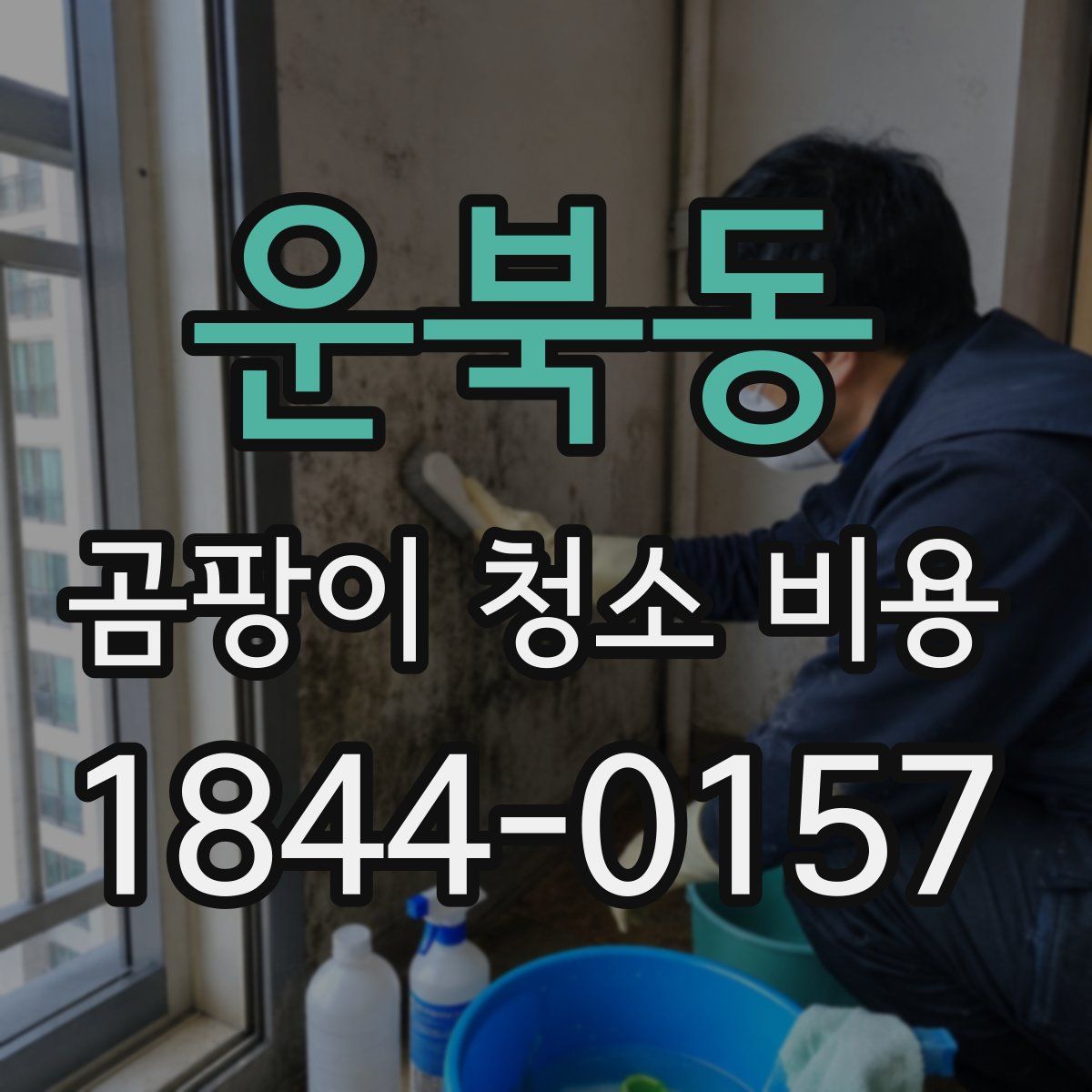 운북동 곰팡이 청소 비용