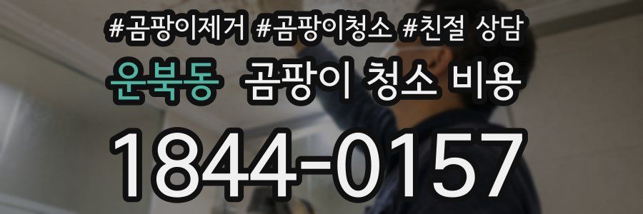 운북동 곰팡이 청소 비용