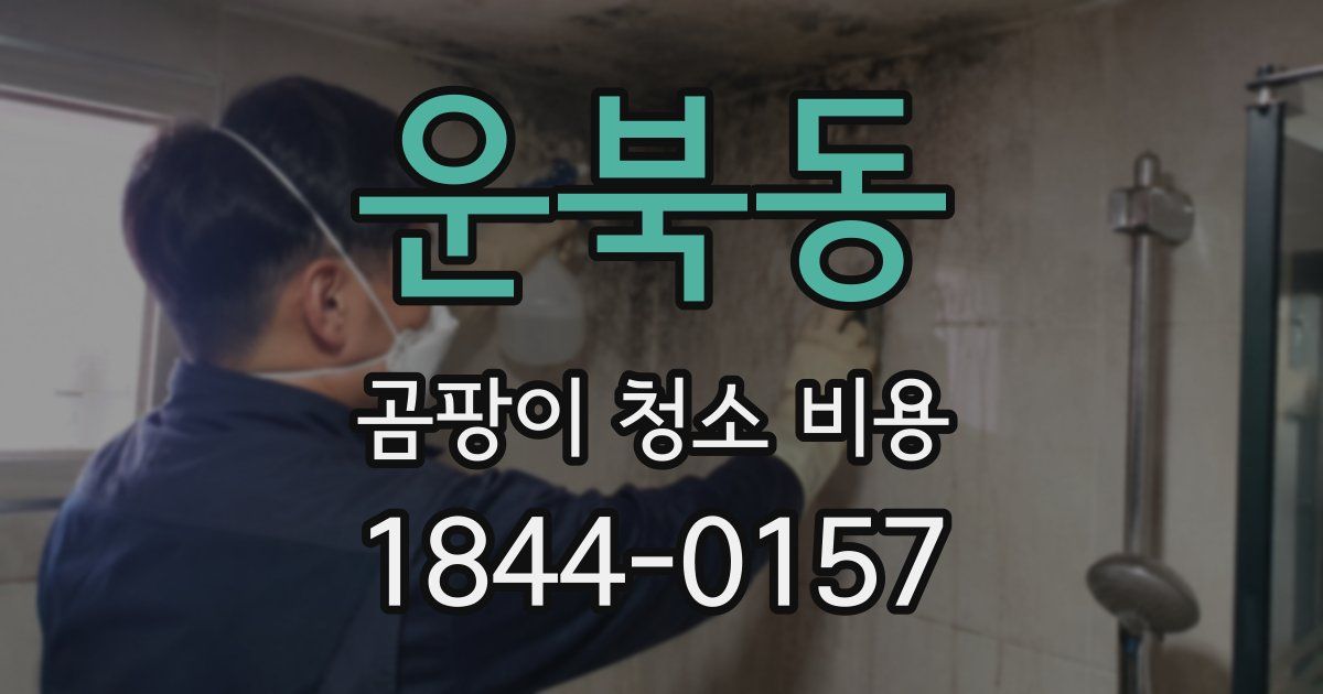 운북동 곰팡이 청소 비용
