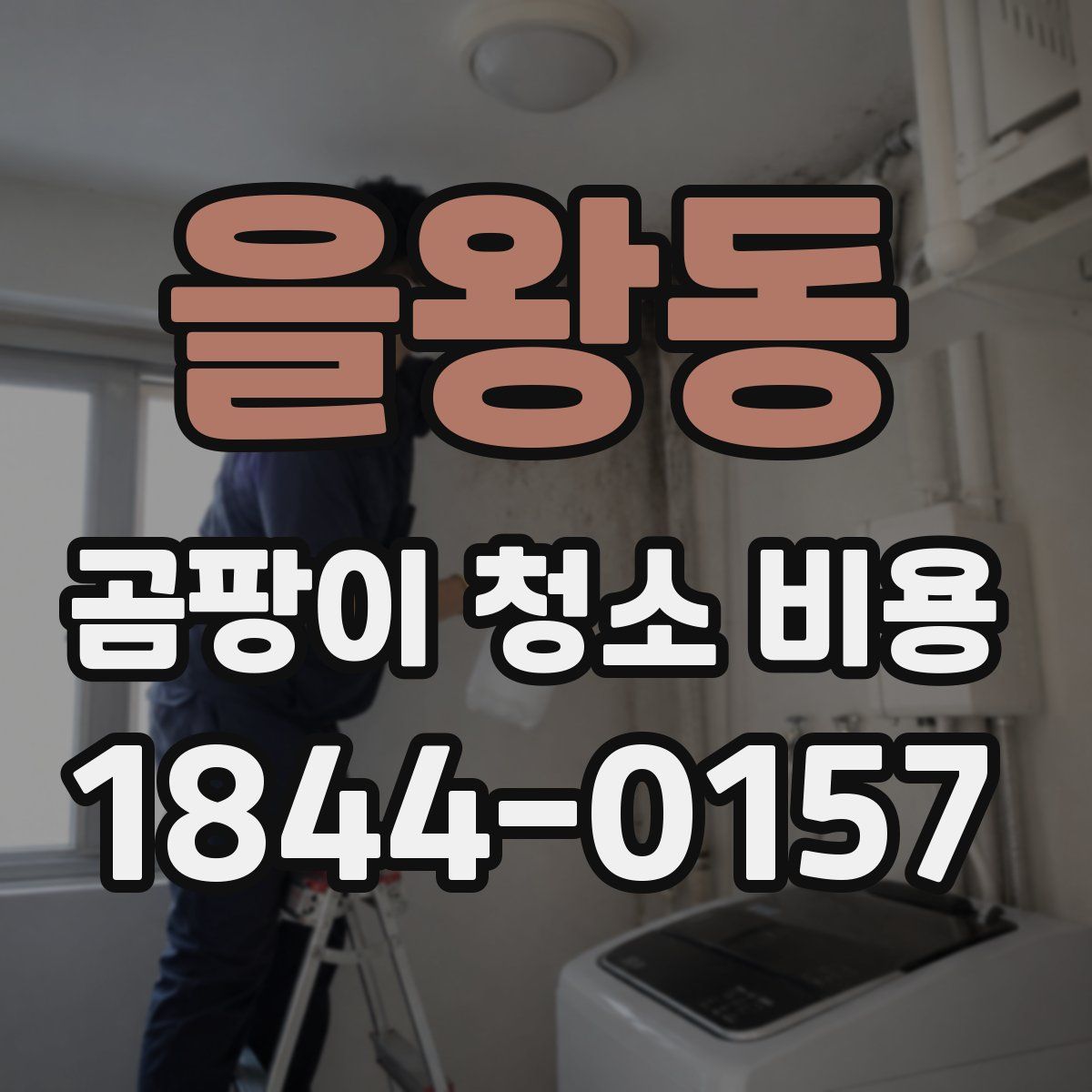 을왕동 곰팡이 청소 비용