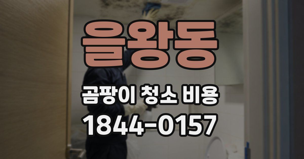 을왕동 곰팡이 청소 비용
