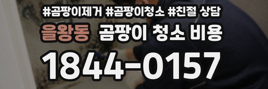 을왕동 곰팡이 청소 비용