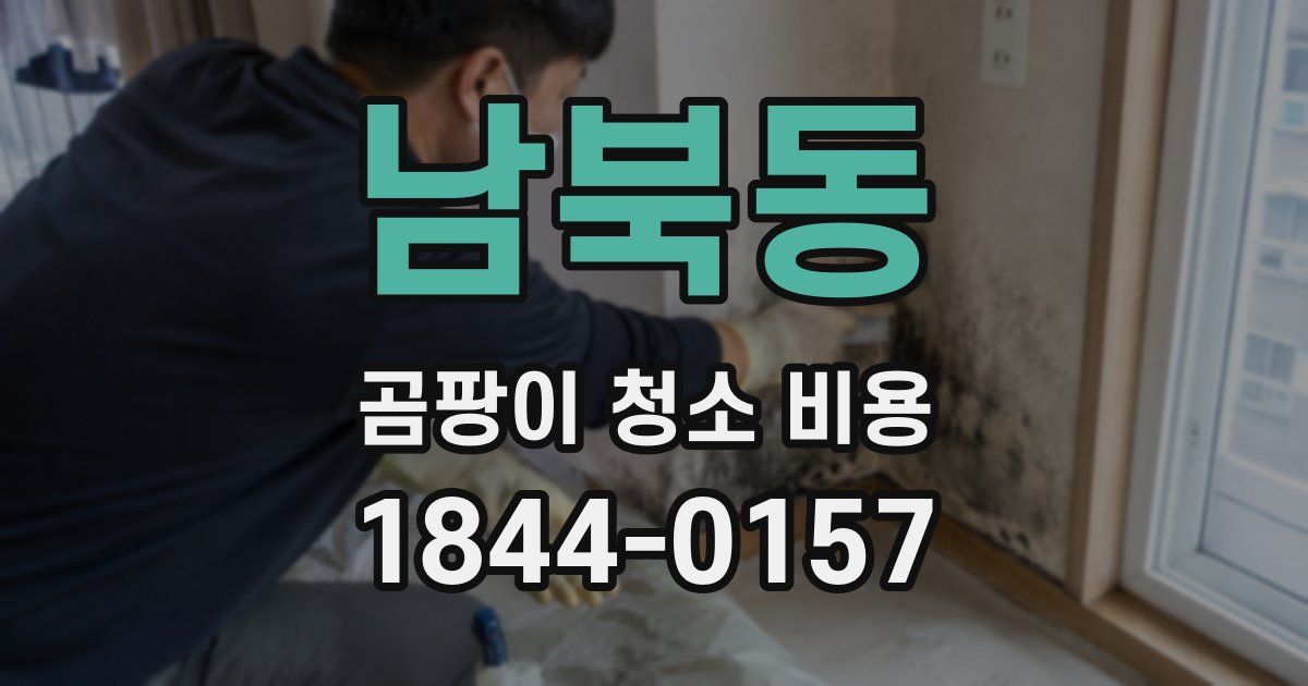 남북동 곰팡이 청소 비용
