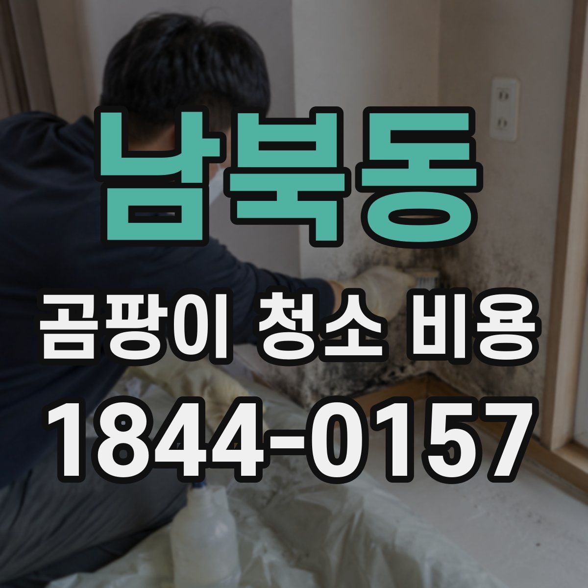 남북동 곰팡이 청소 비용