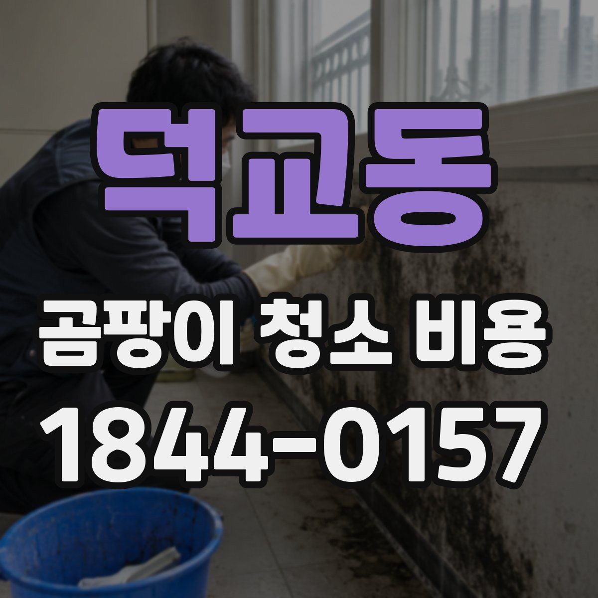 덕교동 곰팡이 청소 비용