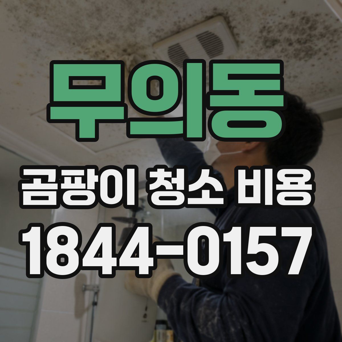 무의동 곰팡이 청소 비용