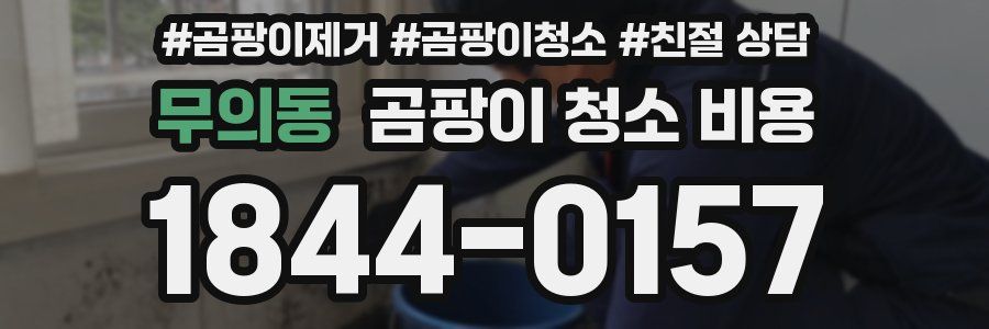 무의동 곰팡이 청소 비용