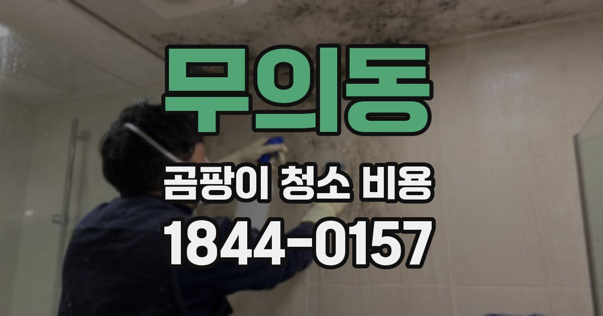 무의동 곰팡이 청소 비용