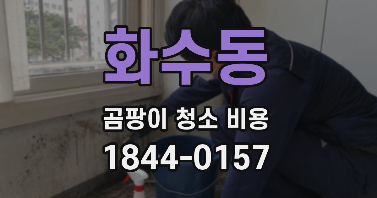 화수동 곰팡이 청소 비용